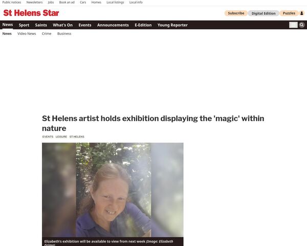 ‘Through the Branches’ - art exhibition